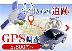 F̒ǐ GPS5,800~`